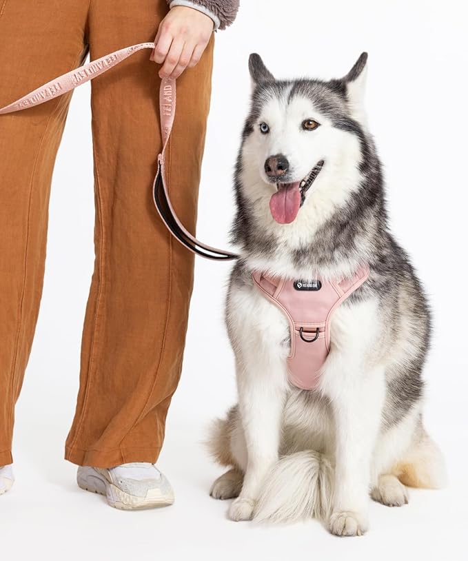 2025 New Edition, Fei & Eve Classic Dog Harness - Quick-Release Buckles | 3-Point No-Pull Control | Heavy-Duty 900D Nylon | Dual Safety Handles | Breathable Mesh | Adjustable Fit | Medium,Pink