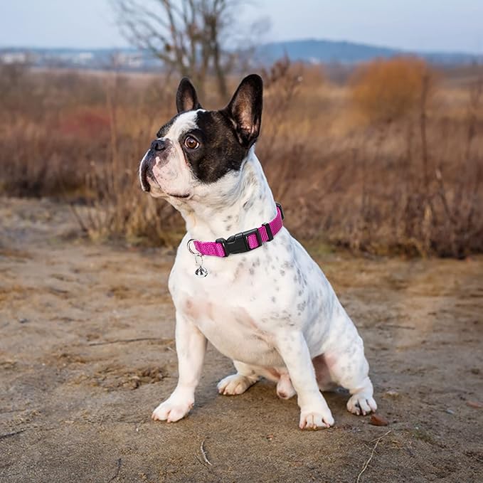 PUPTECK Adjustable Dog Harness Collar and Leash Set Step in No Pull Pet Harness for Small Medium Dogs Puppy and Cats Outdoor Walking Running, Soft Mesh Padded Reflective Vest Harnesses, Solid Pink XS