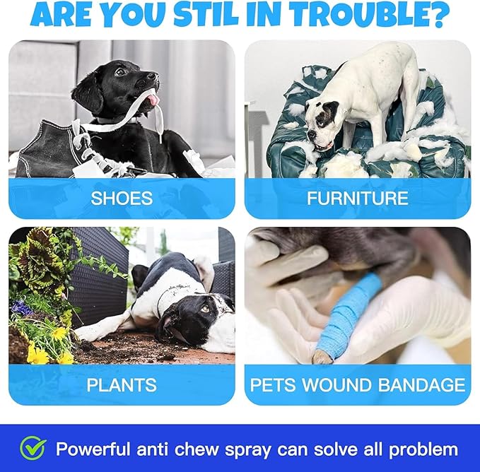 Bitter Apple Spray for Dogs: 100ML Natural Alcohol-Free Bitter Spray for Dogs to Stop Chewing Licking, Deterrent Spray for Puppy Training Protect Furniture, Shoes, Cords Indoor/Outdoor Use