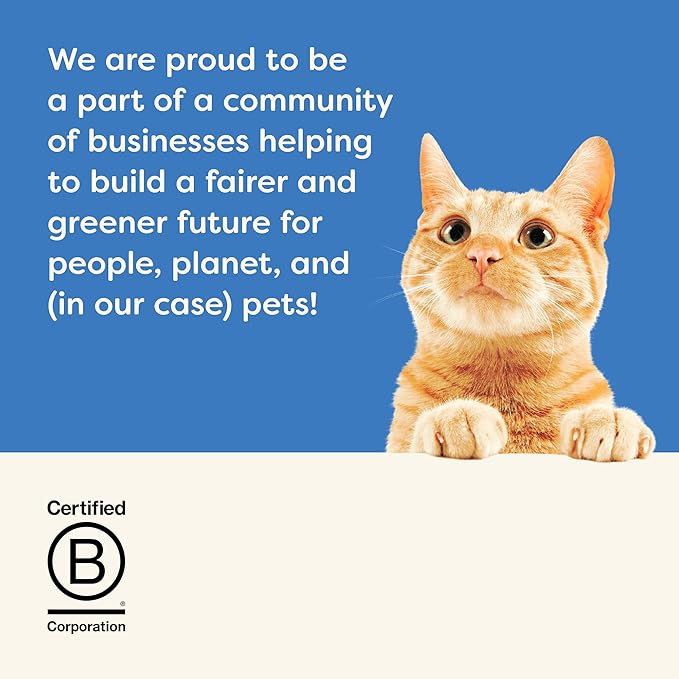 Applaws Natural Wet Cat Food, Made with Limited and Natural Ingredients, High Protein with No Artificial Additives or Fillers, Tuna Fillet & Shrimp in Gravy (24 x 2.47 oz Cans)