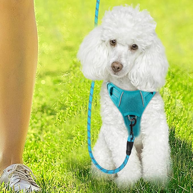 BARKBAY Dog Harness No Pull with ID Tag Pocket - Heavy Duty, Reflective, Easy Control for Large Dogs(Ocean Blue,XS)