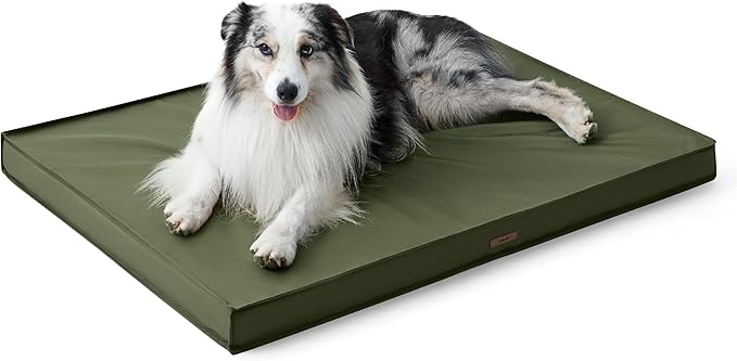 LE SURE Outdoor Waterproof Dog Beds Large Sized Dog, Orthopedic Egg Crate Foam Pet Bed with Oxford Fabric Surface and Removable Washable Cover, Pet Mat 36''x27'', Green