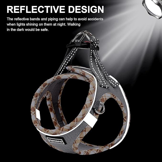 Mercano Soft Mesh Dog Harness and Leash Set, No-Chock Step-in Reflective Breathable Lightweight Easy Walk Vest Harnesses with Safety Buckle for Small Dogs, Cats (Grey, M)