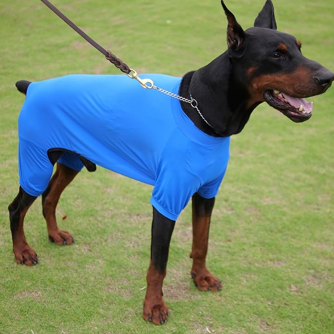 LoveLongLong Dog Jumpsuit with UV Protection and Quick-Dry Fabric for Spring Summer Pet Pajamas Royel Blue XL