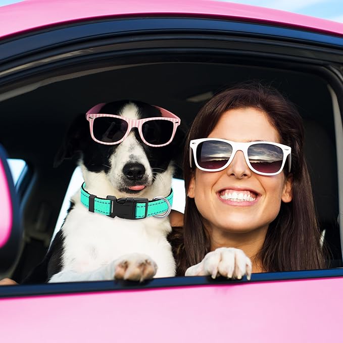 Sanwuta 12 Pcs Reflective Puppy Dog Collars Bulk for Litter Dogs Adjustable Safety Nylon Collars with Locking Buckle Soft Padded Breathable Puppy Collar for Cats Pets(Medium)