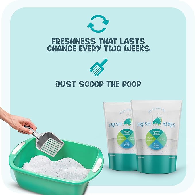 Silica Crystal Cat Litter, 6 lb | Unscented, Lightweight, Non Clumping Cat Litter | Low Dust & Tracking, Long-Lasting Odor Control Crystal Kitty Litter for Cats and Kittens (Pack of 2)