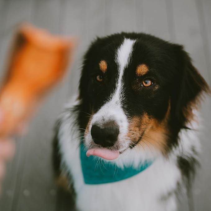 Wholesome Pride Sweet Potato Chews 100% All-Natural Single Ingredient Dog Treats, 16 oz