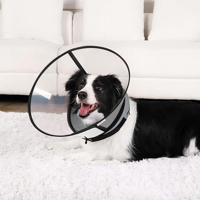 Sponge Core Dog Cone, Inflatable Dog Cone Collar Alternative, Dogs Donut Collar After Surgery, Soft Cone for Large Medium Small Dogs to Stop Licking, No Inflation Required, Clear View(Size 2, Gray)
