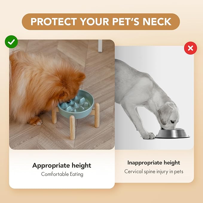 6.1inch Ceramic Dog Raised Slow Feeder Set, Elevated Bowl with Wooden Stand for Small Dog, Pet Slow Feeder Dish for Fast Easters, Anti-Gulping(Light Green, Single Bowl+ Stand)
