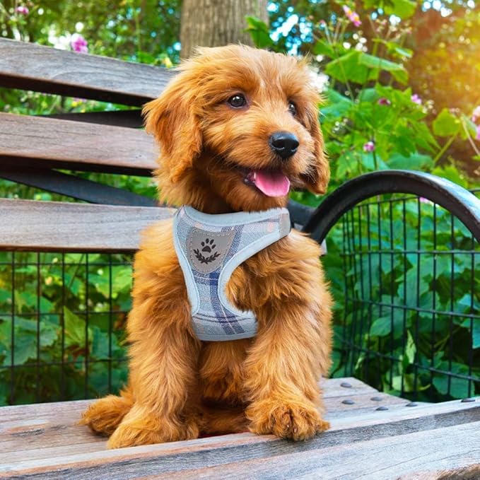 PUPTECK Adjustable Dog Harness Collar and Leash Set Step in No Pull Pet Harness for Small Medium Dogs Puppy and Cats Outdoor Walking Running, Soft Mesh Padded Reflective Vest Harnesses, Blue XS