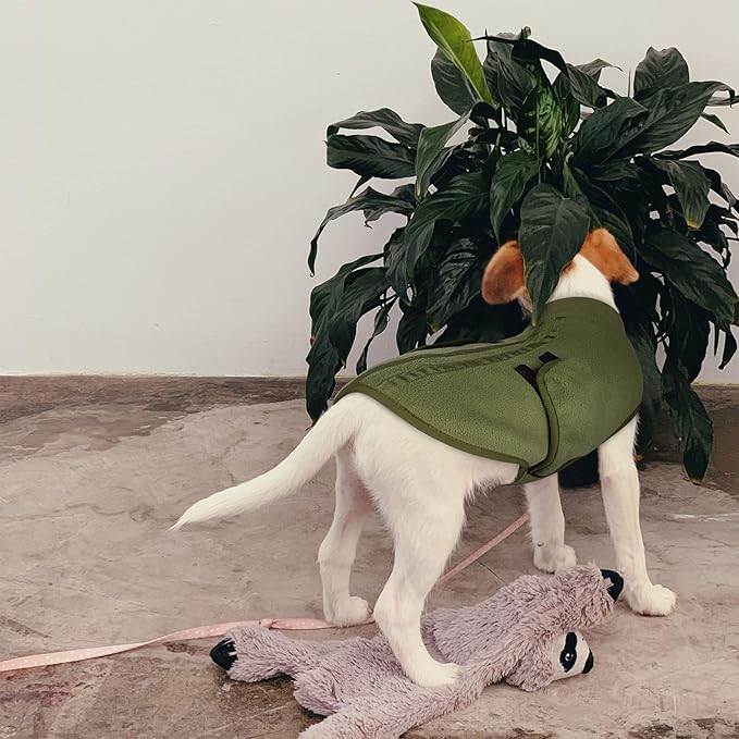 Queenmore Large Dog Sweaters, Soft Fleece Vest Pullover Dog Jacket with Leash Hole, Warm Winter Dogs Clothes Cold Weather Doggy Dachshund Sweater for Large Dogs Cats Boy or Girl (Army Green, L)