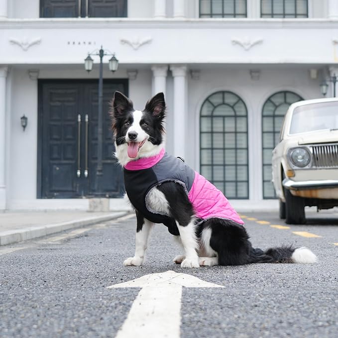 Warm Fleece Dog Coats for Small Dogs,D-Rings Waterproof Puppy Jacket for Cold Winter,Pink XS