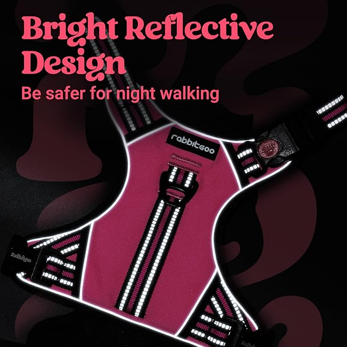 rabbitgoo Dog Harness Small Sized Dog, No Pull Pet Harness with Soft Padded Handle, Adjustable Reflective Vest with 3 Buckles, Easy Walking Harness with 2 Leash Clips, Pink, S