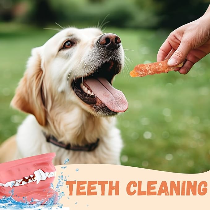 Duck Jerky Dog Treats, Natural Healthy Duck Twisted Strips with 1% Taurine, High Protain Low Fat Dog Training Rewards Treats for Small Medium Large Breeds, 10.6oz