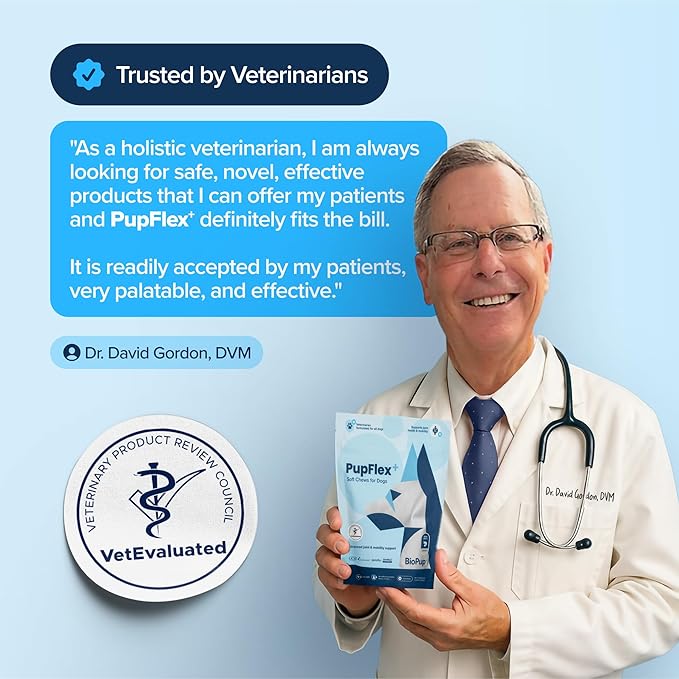 PupFlex+ Hip and Joint Supplement Dogs, Vet Created Soft Chews with UC-II® Collagen for Dogs, CurcuVET® & Omega 3, Proven More Effective Than Glucosamine Chondroitin, Dog Joint Supplement (60 ct)
