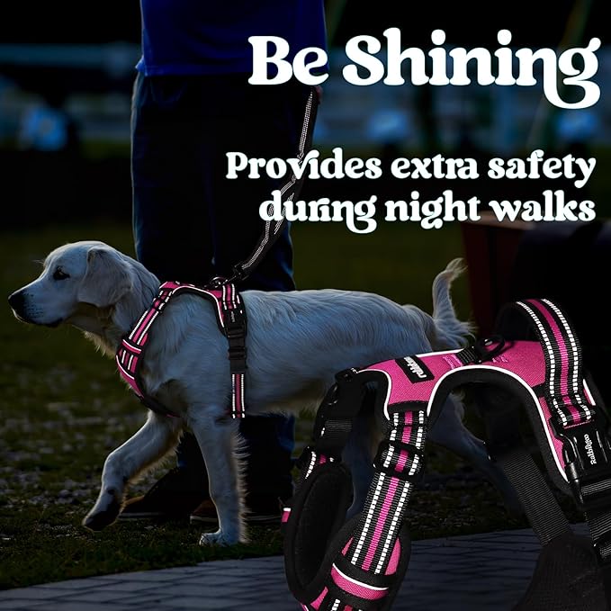 rabbitgoo Dog Harness for Large, No Pull Pet Harness with 3 Buckles, Adjustable Soft Padded Vest with Control Handle, Walking Reflective Pet Vest for Extra Large Dogs, Rose Pink, XL