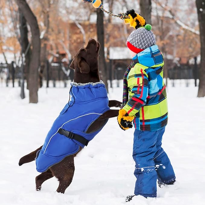 DENTRUN Small Dog Winter Warm Coat - Windproof Cozy Jacket, Thick Fleece Vest with Adjustable Belt, Water Repellent, Reflective Dog Sweater for Yorkie Dachshund Wear, Blue, S