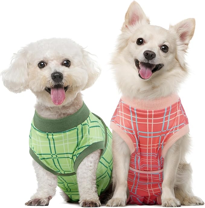 Kuoser Dog Recovery Suit for Female Male Dogs, Post-Surgery Bodysuit for Spay Neuter, Dog Onesie After Surgery, Anti-Licking Pet Surgical Recovery Suit, Green XXL