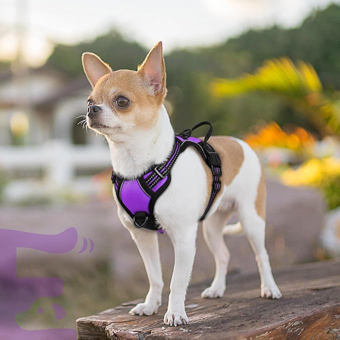 Eagloo Small Dog Harness No Pull, Service Vest with Reflective Strips and Control Handle, Adjustable and Comfortable for Walking, No Choke Pet Harness with 2 Metal Rings, Purple, XS