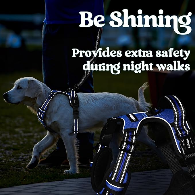rabbitgoo Dog Harness for Large, No Pull Pet Harness with 3 Buckles, Adjustable Soft Padded Vest with Control Handle, Walking Reflective Pet Vest for Extra Large Dogs, Blue, XL