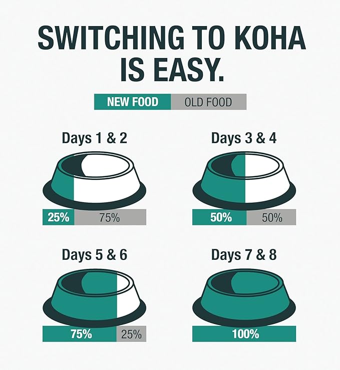 KOHA Limited Ingredient Diet Turkey Entrée for Dogs - Grain Free Wet Dog Food with No Fillers - Sensitive Stomach Canned Dog Food - 13 oz Pack of 12