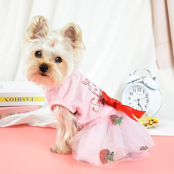 Cute Pink Skirt for Small Dog - Spring & Summer Dress for Female Dogs