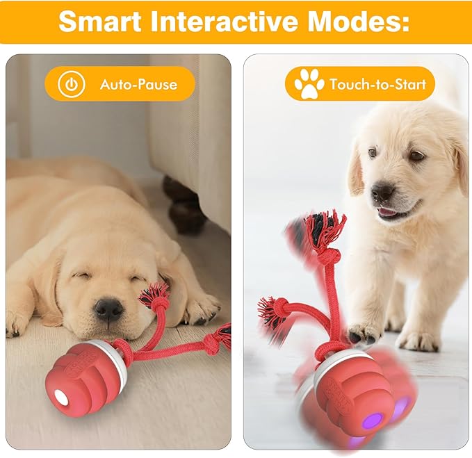 Interactive Dog Toys for Boredom- Rechargeable Electric Dog Balls, Dog Toys to Keep Them Busy, Automatic Moving Dog Products, Interactive Puppy Dog Toys Ball (Crimson)
