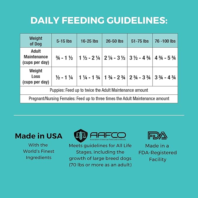KOHA Limited Ingredient Bland Diet Dry Food for Dogs - Beef & Brown Rice Recipe, Sensitive Stomach Dog Food - Pumpkin for Digestive Support, 3.5 lbs