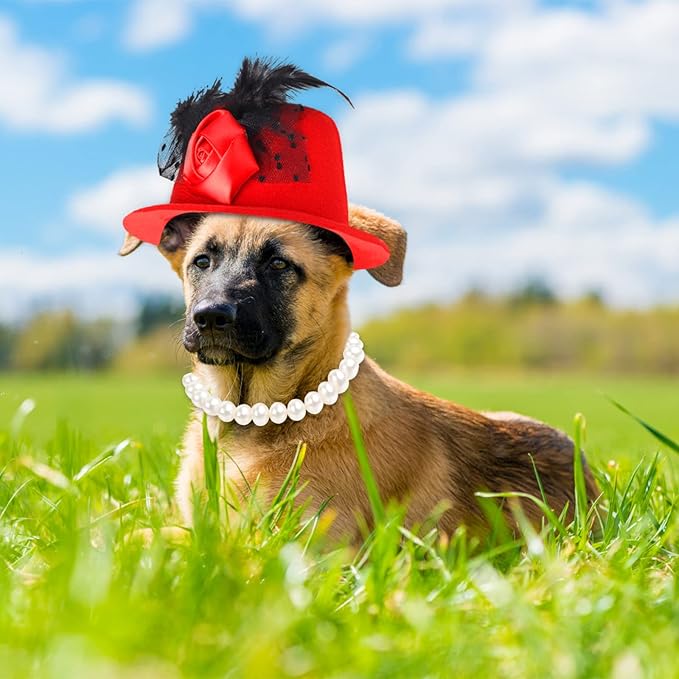 Yewong Pet Fascinators Hat Formal Top Costume Set Mesh Feather Fascinator Veil Kentucky Derby with Pearl Collar for Christmas Weeding Photo Props Party (Red) (BH-YF0090)