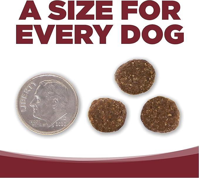 NutriSource Dog Food, Made with Beef and Brown Rice, Wholesome Grains, 5LB, Dry Dog Food