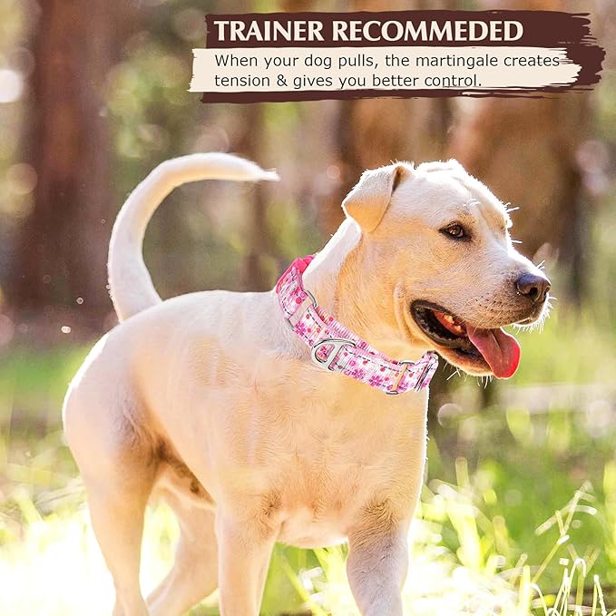 Pink Floral Martingale Collar for Dogs - Reflective Nylon with Quick Release Buckle & Padded Comfort - No Slip Choke Heavy Duty Collar for Training, Walking & Nighttime Use S