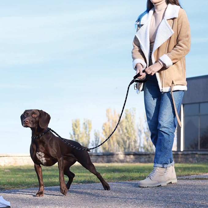 Slip Leads Dog Leash - 4/5/6/8/10 FT Heavy Duty Training Leashes - Reflective & Comfortable Handle for Small Medium Large Dogs (1/2''- 6FT, Black)