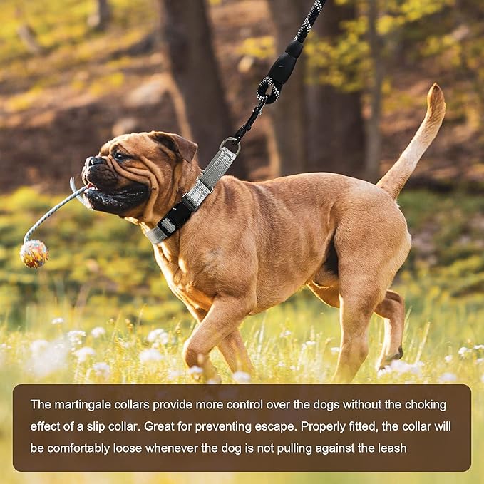 Hikiko Reflective Martingale Dog Collars with Buckle Nylon Adjustable No Slip Training Pet Collar (Medium, Sliver Grey)