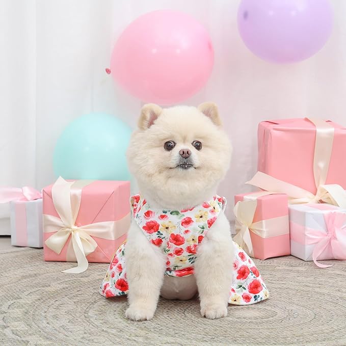 CuteBone Velvet Dog Dresses for Small Dogs, Stylish & Soft Fabric, Comfortable Fit for Everyday Wear, Perfect for Special Occasions NCVA09M