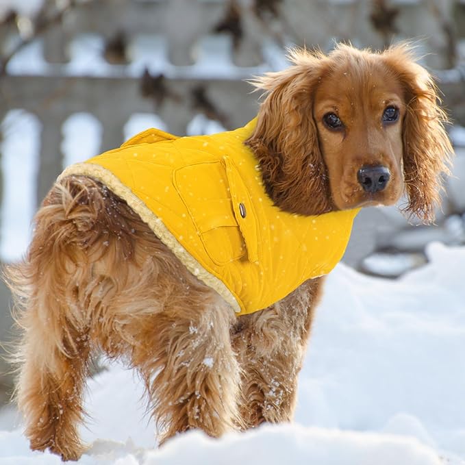 Queenmore Dog Winter Coat Warm Puffer Jacket Waterproof Plush Lining Thermal Cold Weather Vest for Small Medium Large Dogs, Windproof Easy On Pet Jacket Yellow L