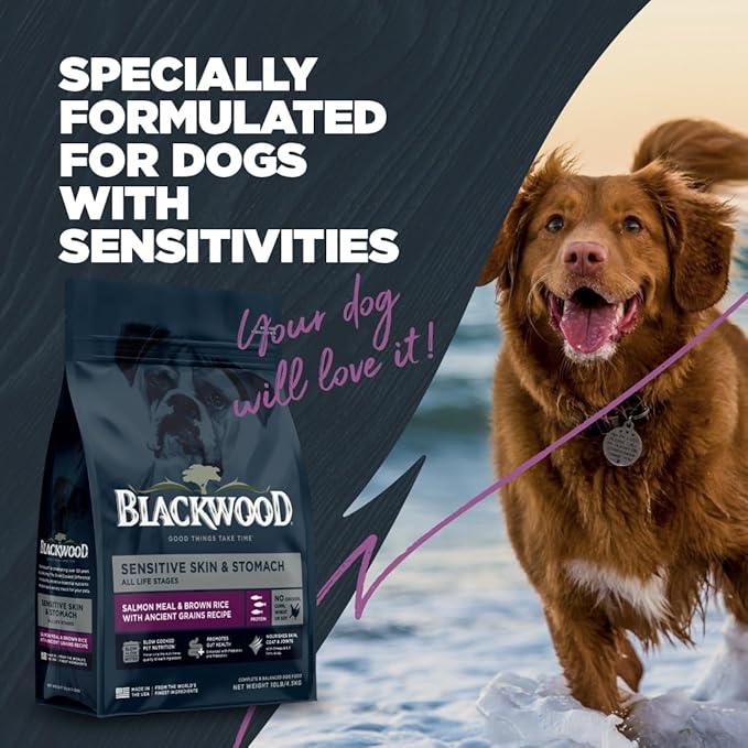 Blackwood Sensitive Skin & Stomach Dry Dog Food, Salmon Meal & Brown Rice with Ancient Grains, 4.5 Pound Bag with Prebiotics & Probiotics to Promote Gut Health