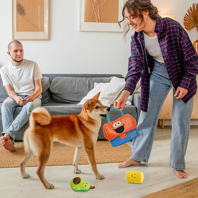 Hide and Seek Dog Toys, Squeaky Interactive Puzzle Dog Toys for Boredom and Stimulation, Dog Enrichment Toys with Rope for Small and Medium Dogs - Lunch Box