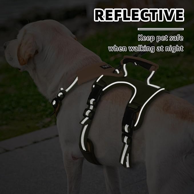 PUPTECK Escape Proof Dog Harness and Leash Set Upgraded No Pull Reflective Dog Vest with Lift Handle, Easy Control Pet Harness for Medium Large Dogs Training Walking Running, Green, XL