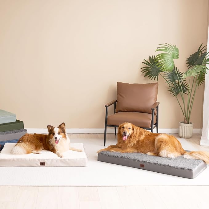 EHEYCIGA Orthopedic Foam Dog Bed, Medium, 30"L x 20"W x 3.5"Th, Light Grey