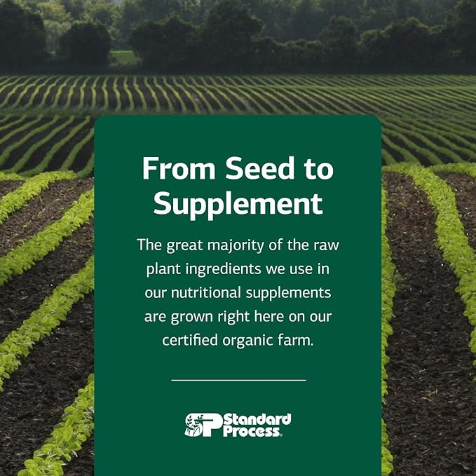 Standard Process Inc. Canine Cardiac Support - Dog Heart Health Supplement - Nutritional Formula to Support Cardiac Function - Pet Health Supplement with Selenium - 100 g