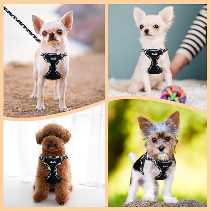 SlowTon Small Dog Harness - No Pull Dog Harness and Leash Set, Soft Mesh Lightweight Puppy Vest Harnesses, Adjustable Pet Harnesses for XXS XS Small Medium Easy Walk Hiking (Black, XXS)