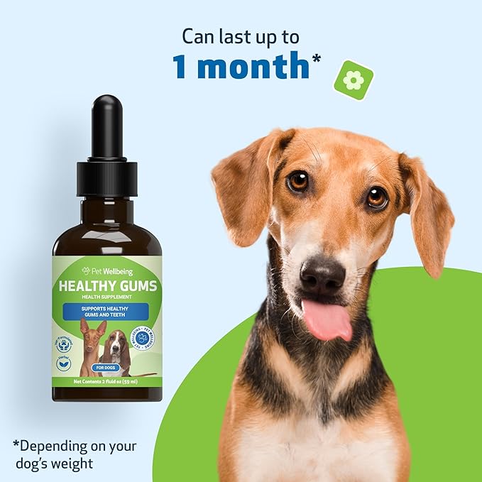 Pet Wellbeing - Healthy Gums for Dogs - Natural Supplement for Healthy Gums, Teeth and Breath Against Dog Gingivitis - 2oz (59ml).
