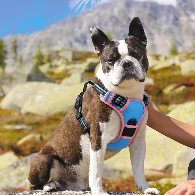 Eagloo Dog Harness for Large Dogs, No Pull Service Vest with Reflective Strips and Control Handle, Adjustable and Comfortable for Walking, No Choke Harness with 2 Metal Rings, Pink & Blue, M