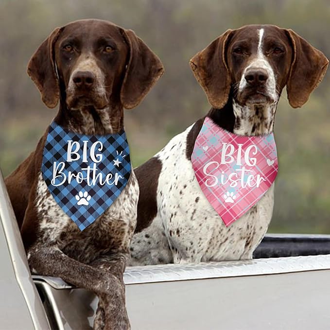 2 Pack Big Brother Big Sister Bandana for Dog Gender Reveal Dog Bandana Pregnancy Announcement Photo Prop Pet Scarf Accessories for Small Medium Large Dog