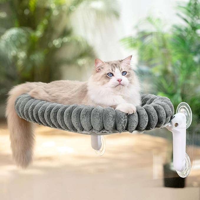 Sunhoo Cat Window Perch Bed Foldable Kitty Windowsill Hammock Shelf Seat Large Cats Suction Cup Indoor Kitten Window Sill Lounger with Soft Plush Cushion Machine Washable 21.26 * 11.8in (Grey,M)