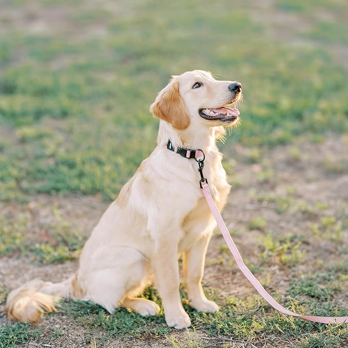 Voyager Reflective Dog Leash Collar Set with Neoprene Handle Supports Small, Medium, and Large Breed Puppies, Cute and Heavy Duty for Walking, Running, and Training - Pink, L