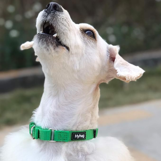 Hyhug Martingale Dog Collar Without Buckle: Anti Escape, No Slip Heavy Duty Nylon, Colorfast Adjustable Pet Supplies for Medium Breeds(Medium, Lime Green)