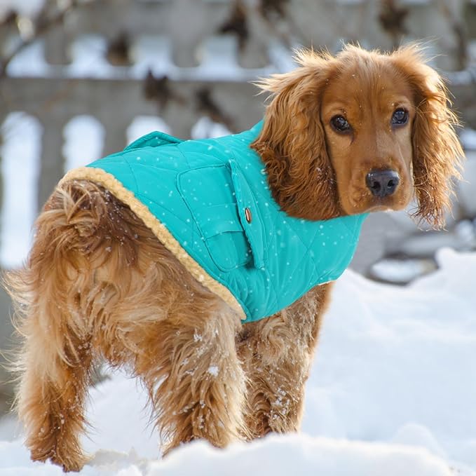 Queenmore Warm Dog Coat, Cold Weather Puffer Dog Coat Vest, Quilting Winter Pet Jacket Ultra Thick Plush Fleece Lining Pet Clothes for Dogs with Storage Pockets (Light Blue, X-Small)