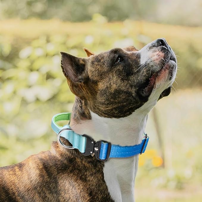 TSPRO Premium Dog Collars Tactical Dog Collar with Handle and Heavy Duty Quick-Release Metal Buckle Durable Thick and Adjustable for Medium to Large Dogs (Gradient Rainbow L)