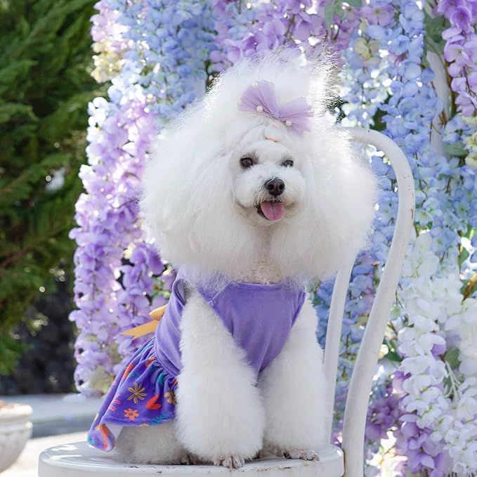 CuteBone Easter Dog Dress Velvet for Small Dogs Girl Flower Skirt Puppy Dresses Purple Dog Clothes CVA16L-D